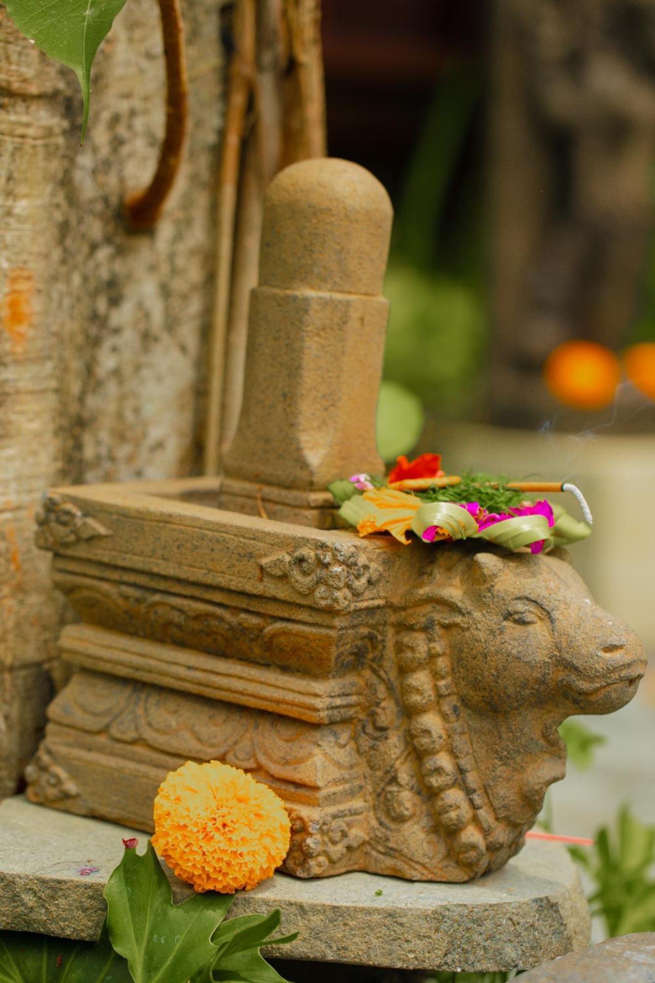 Adi Laxmi Villa Ubud Экстерьер фото