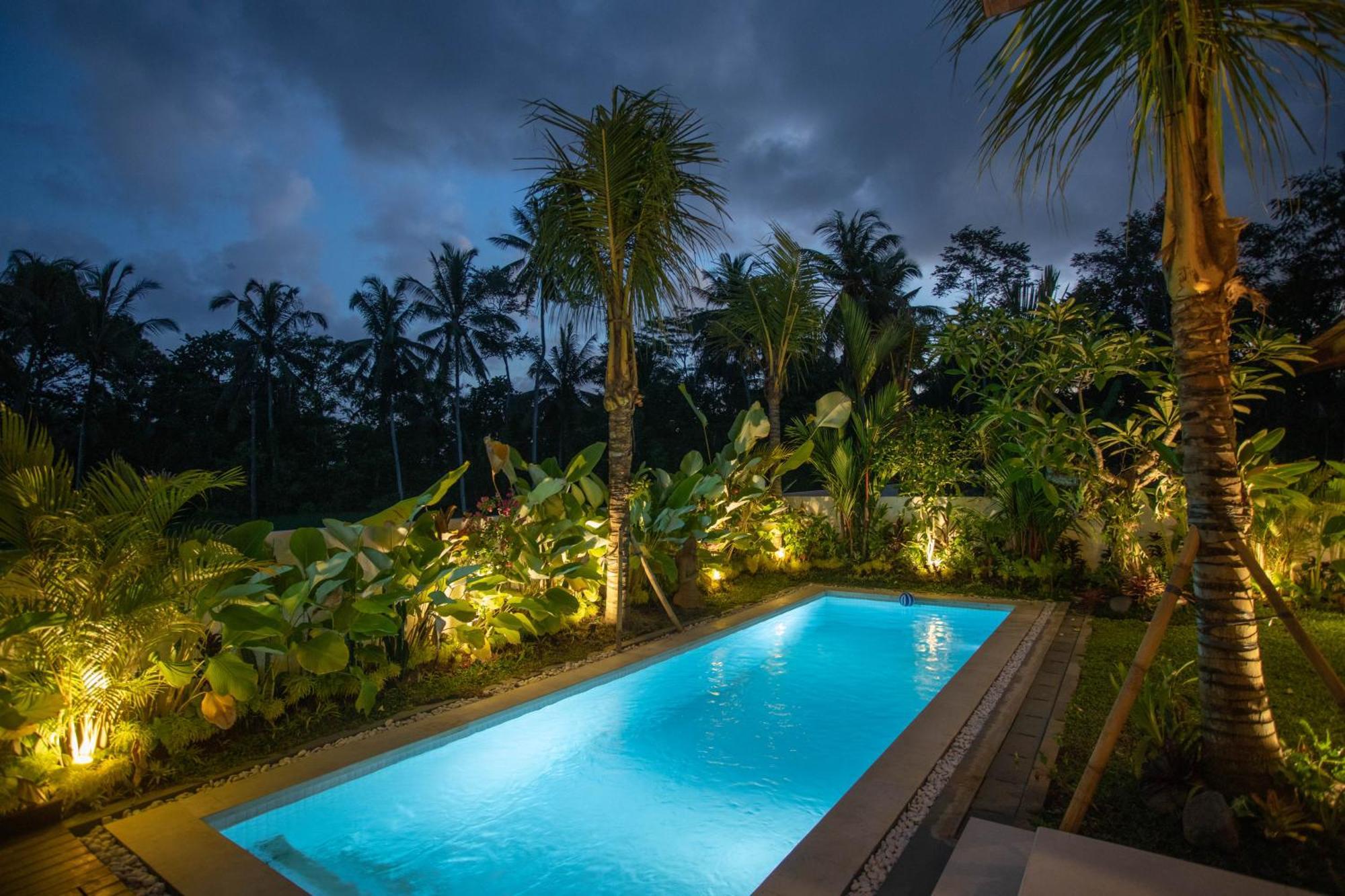 Adi Laxmi Villa Ubud Экстерьер фото